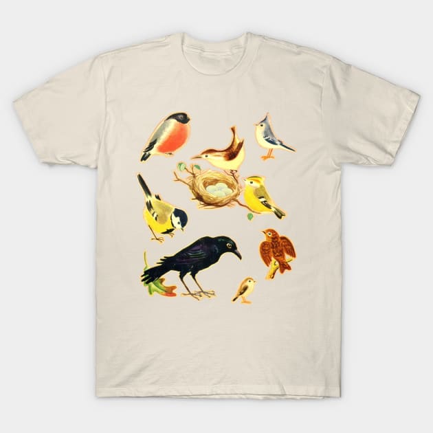 Vintage Styled Birds Illustration Design T-Shirt by DankFutura